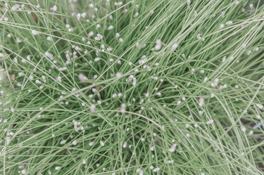 Similar image 21443521