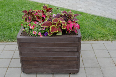 Similar image 21443523