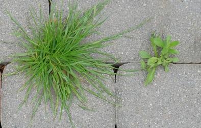 Similar image 21443524