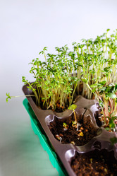 Similar image 21445662