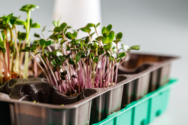 Similar image 21445665