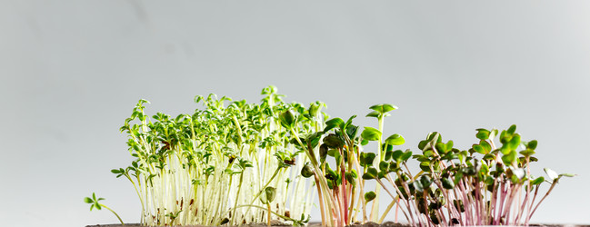 Similar image 21445669