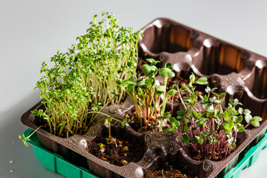 Similar image 21445670