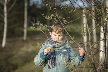 Similar image 21442734