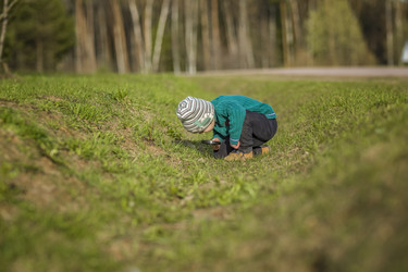 Similar image 21442748