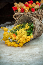 Similar image 21442749