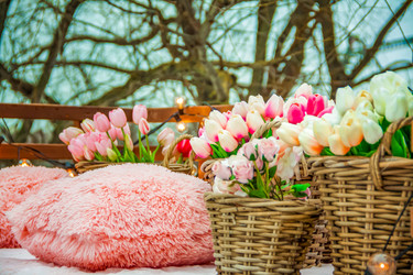 Similar image 21442762