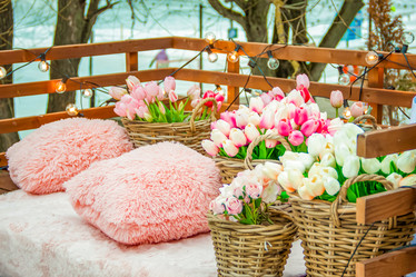 Similar image 21442764