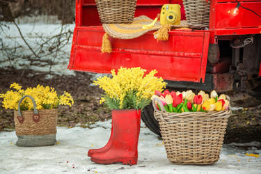 Similar image 21442767