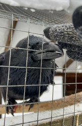 Similar image 21442962