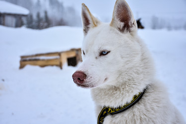 Similar image 21442969