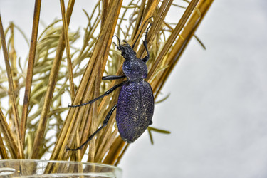 Similar image 21442971