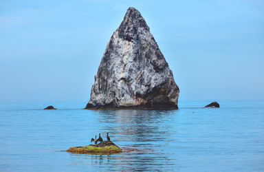 Similar image 21442975