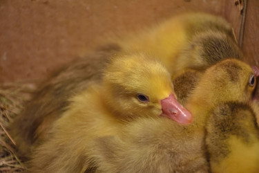 Similar image 21442979