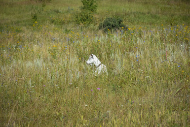 Similar image 21442986