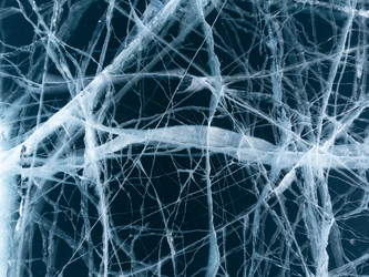 Similar image 21443024