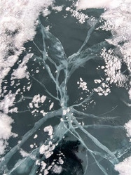 Similar image 21443047