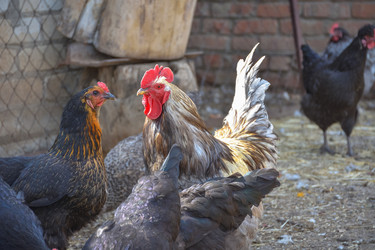 Similar image 21443331