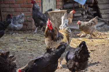 Similar image 21443332