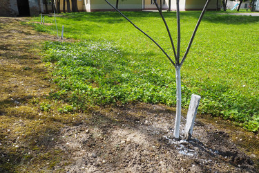 Similar image 21450307