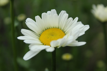 Similar image 21469867