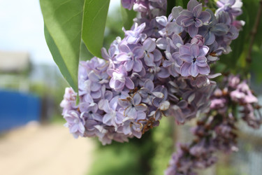 Similar image 21469868