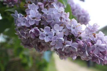 Similar image 21469869