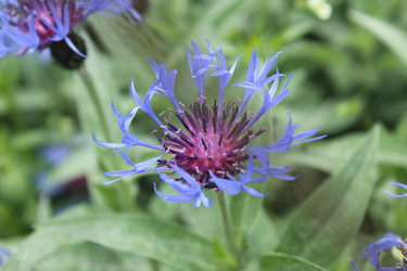 Similar image 21469870