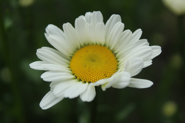 Similar image 21469875