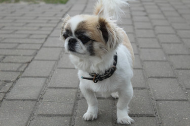 Similar image 21469883