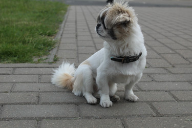 Similar image 21469884