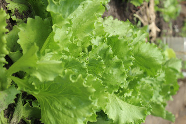 Similar image 21469890