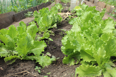 Similar image 21469892