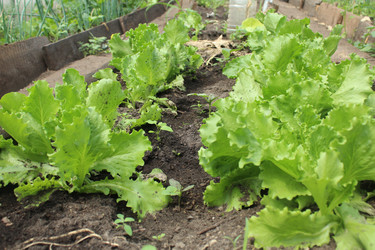 Similar image 21469893