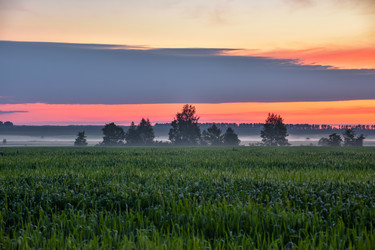 Similar image 21443337