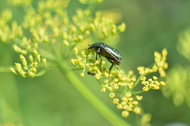 Similar image 21443364