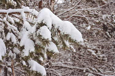 Similar image 21443366