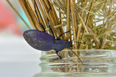 Similar image 21443367