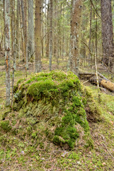 Similar image 21443371