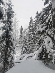 Similar image 21443372