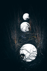 Similar image 21443090