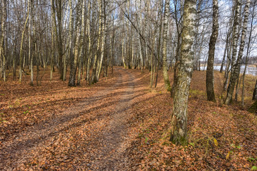 Similar image 21447009