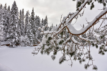 Similar image 21443103