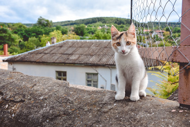 Similar image 21443106