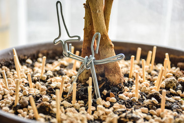 Similar image 21443114