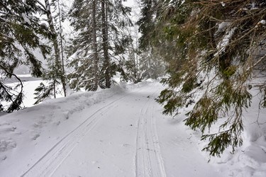 Similar image 21448894