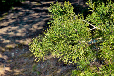 Similar image 21443118