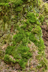 Similar image 21448898