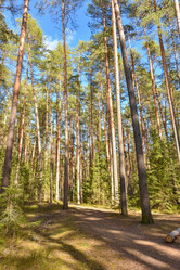 Similar image 21448948