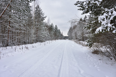 Similar image 21443119